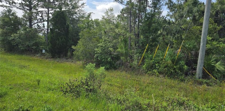 Land in Orlando, Florida № 1759658