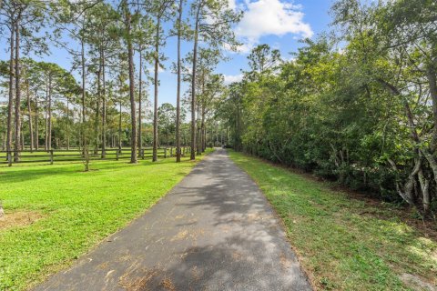 Villa ou maison à vendre à Lake Worth, Floride: 5 chambres, 334.08 m2 № 2275356 - photo 5