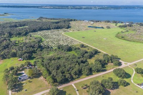 Terreno en venta en Umatilla, Florida № 1898449 - foto 5