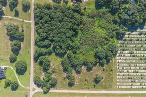 Terreno en venta en Umatilla, Florida № 1898449 - foto 20