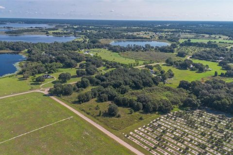 Terreno en venta en Umatilla, Florida № 1898449 - foto 15