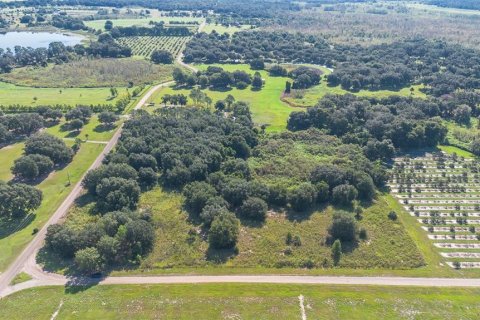 Terreno en venta en Umatilla, Florida № 1898449 - foto 17