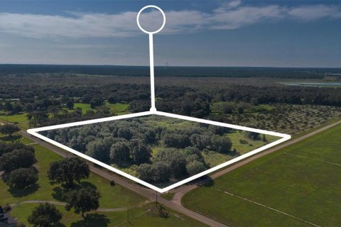 Terreno en venta en Umatilla, Florida № 1898449 - foto 1