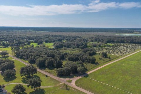 Terreno en venta en Umatilla, Florida № 1898449 - foto 3