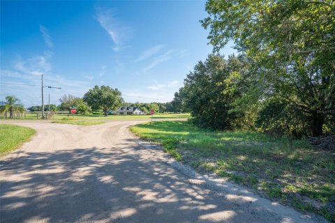 Terreno en venta en Umatilla, Florida № 1898449 - foto 25