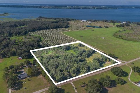 Terreno en venta en Umatilla, Florida № 1898449 - foto 6