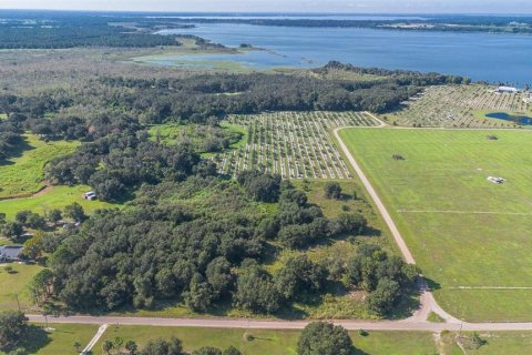 Terreno en venta en Umatilla, Florida № 1898449 - foto 4