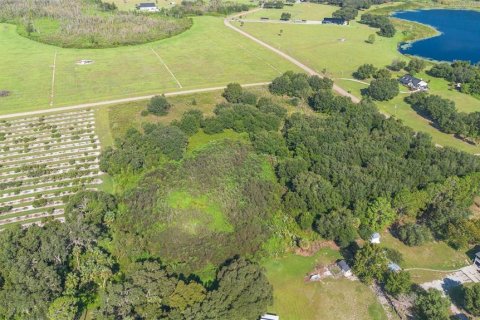 Terreno en venta en Umatilla, Florida № 1898449 - foto 11
