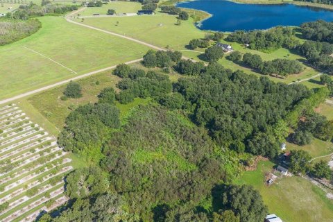 Terreno en venta en Umatilla, Florida № 1898449 - foto 12