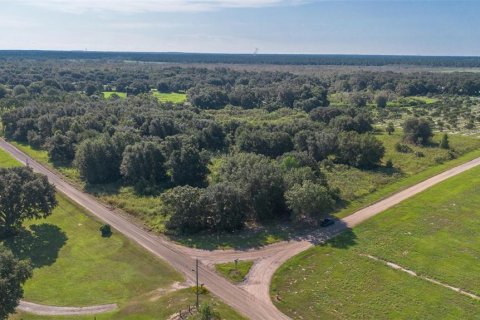 Terreno en venta en Umatilla, Florida № 1898449 - foto 2
