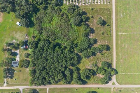 Terreno en venta en Umatilla, Florida № 1898449 - foto 19