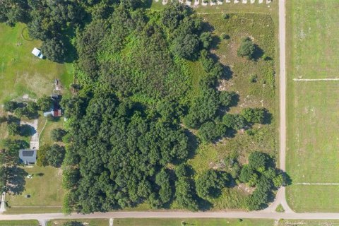 Terreno en venta en Umatilla, Florida № 1898449 - foto 18