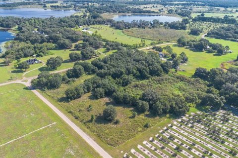 Terreno en venta en Umatilla, Florida № 1898449 - foto 14