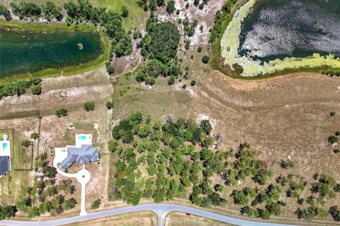 Terreno en venta en Eustis, Florida № 1901801 - foto 1