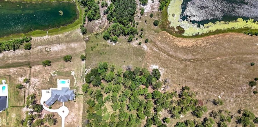 Terreno en Eustis, Florida № 1901801