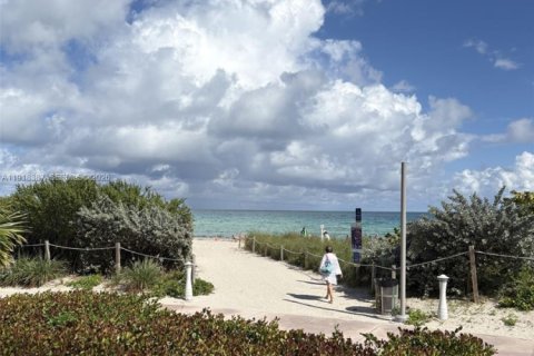 Copropriété à louer à Miami Beach, Floride: 1 chambre, 75.44 m2 № 2054079 - photo 25