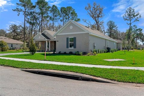 House in Brooksville, Florida 3 bedrooms, 242.1 sq.m. № 1447595 - photo 4