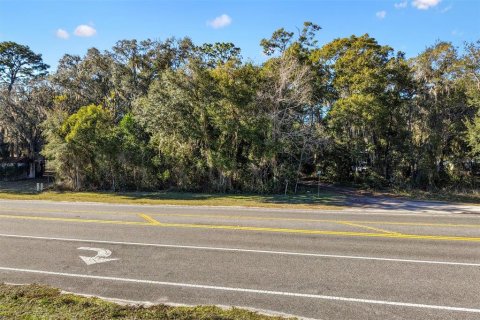 Terrain à Sumter, Floride № 2136150