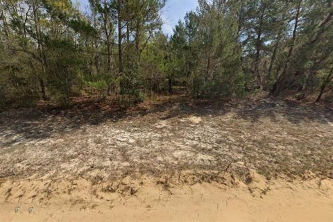 Land in Interlachen, Florida № 2161913 - photo 3