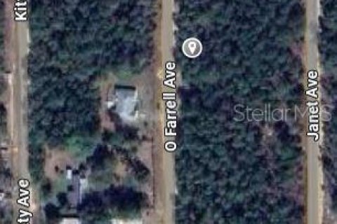 Land in Interlachen, Florida № 2161913 - photo 2