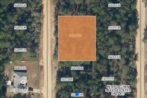 Terrain à Interlachen, Floride № 2161913