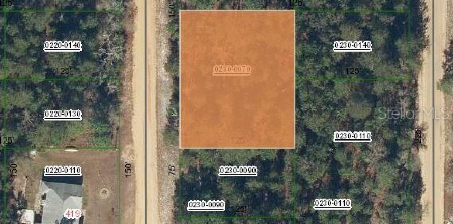 Land in Interlachen, Florida № 2161913