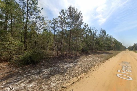 Land in Interlachen, Florida № 2161913 - photo 5