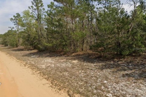 Land in Interlachen, Florida № 2161913 - photo 4
