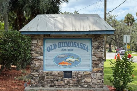 Land in Citrus Springs, Florida № 2160261 - photo 28