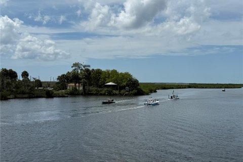 Land in Citrus Springs, Florida № 2160261 - photo 13