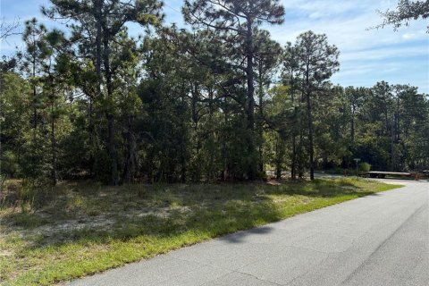 Land in Citrus Springs, Florida № 2160261 - photo 4