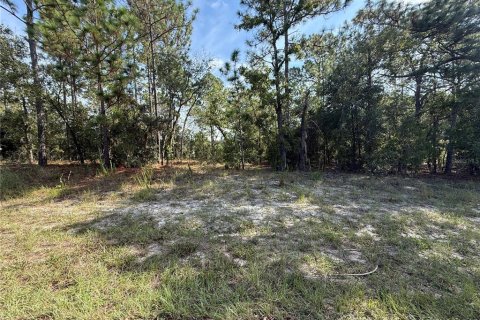 Land in Citrus Springs, Florida № 2160261 - photo 2