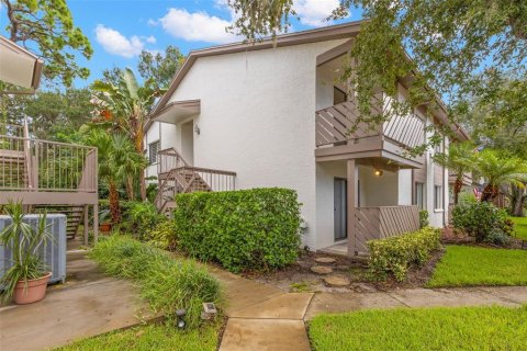 Condo in Safety Harbor, Florida, 2 bedrooms  № 2334238