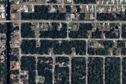 Land in Port Charlotte, Florida № 2165849 - photo 2