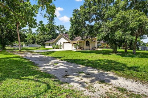 Land in Pinellas Park, Florida № 1826259 - photo 14