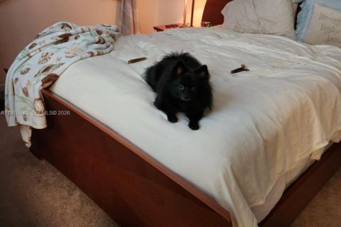 Condominio en venta en Davie, Florida, 2 dormitorios, 72.65 m2 № 2040504 - foto 13