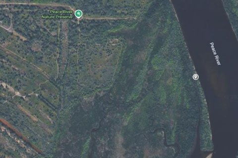 Land in Punta Gorda, Florida № 2226803 - photo 3