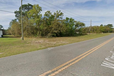 Land in Citrus Springs, Florida № 2213950 - photo 5