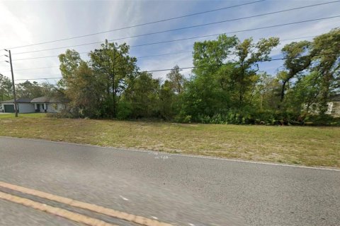 Land in Citrus Springs, Florida № 2213950 - photo 3