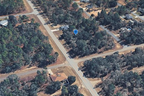 Land in Citrus Springs, Florida № 2213950 - photo 9