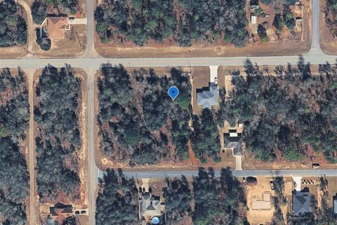 Land in Citrus Springs, Florida № 2213950 - photo 12