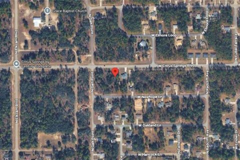 Land in Citrus Springs, Florida № 2213950 - photo 10