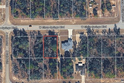 Land in Citrus Springs, Florida № 2213950 - photo 8