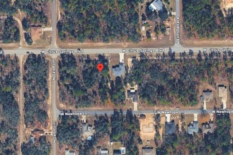 Land in Citrus Springs, Florida № 2213950 - photo 11