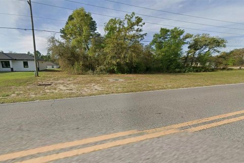 Land in Citrus Springs, Florida № 2213950 - photo 4