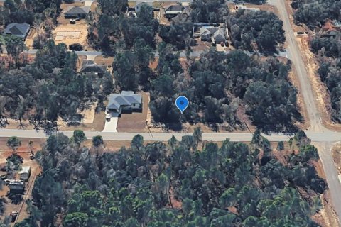Land in Citrus Springs, Florida № 2213950 - photo 7