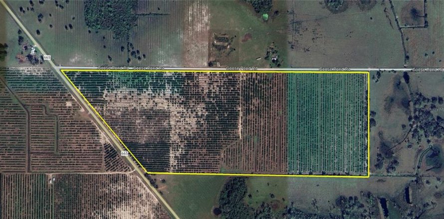 Land in Ona, Florida № 1885925