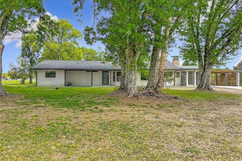 House in Fish Hawk, Florida 4 bedrooms, 236.9 sq.m. № 2329773 - photo 9