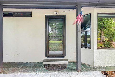 House in Fish Hawk, Florida 4 bedrooms, 236.9 sq.m. № 2329773 - photo 10