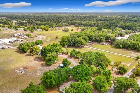 House in Fish Hawk, Florida 4 bedrooms, 236.9 sq.m. № 2329773 - photo 8